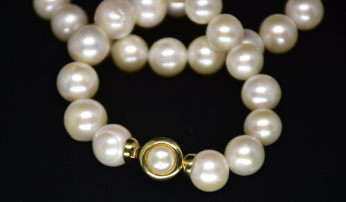 Ahsen 14K Altın Klipsli Doğal Beyaz İnci Kolye-AH-00006 - 