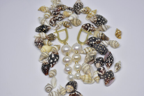 Ahsen 14K Altın Sallantılı Doğal Beyaz İnci Küpe-AH-00047 - 