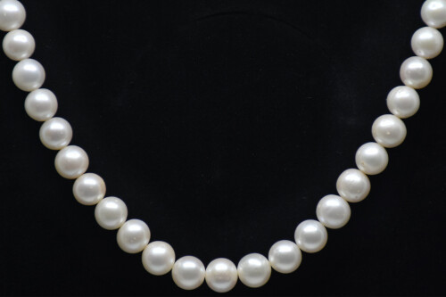 Ahsen 14K Altın Top Kilitli Doğal Beyaz inci Kolye AH-00081 - (1)